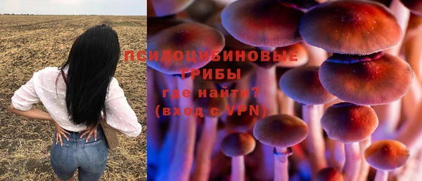 шишки Верхнеуральск